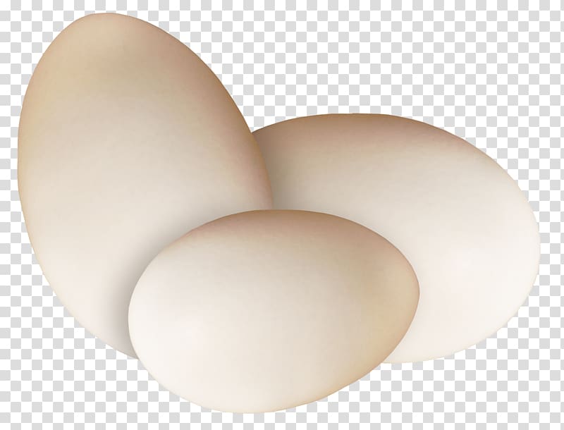 Egg Lighting, Beautiful brown egg transparent background PNG clipart
