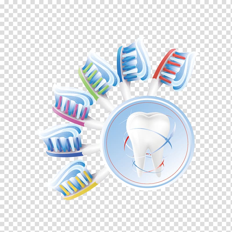 Human tooth Euclidean Teeth cleaning, Toothbrush and teeth transparent background PNG clipart