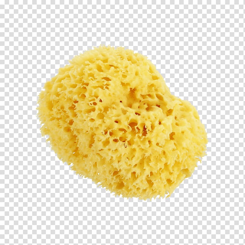 Sponge Hydroxycarbamide Bristle Brush Human body, sea Sponge transparent background PNG clipart