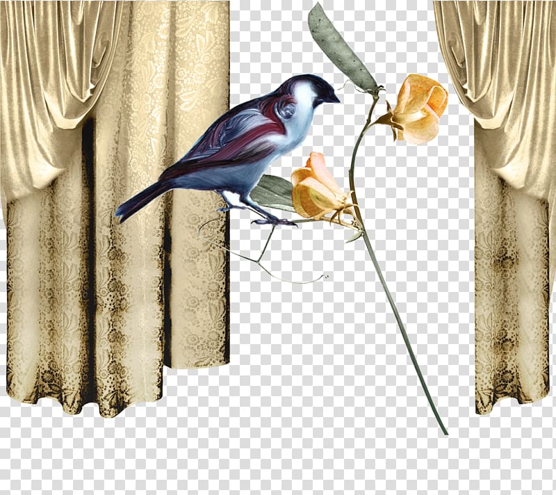 Theres Someone Inside Your House Curtain , Silk curtains transparent background PNG clipart