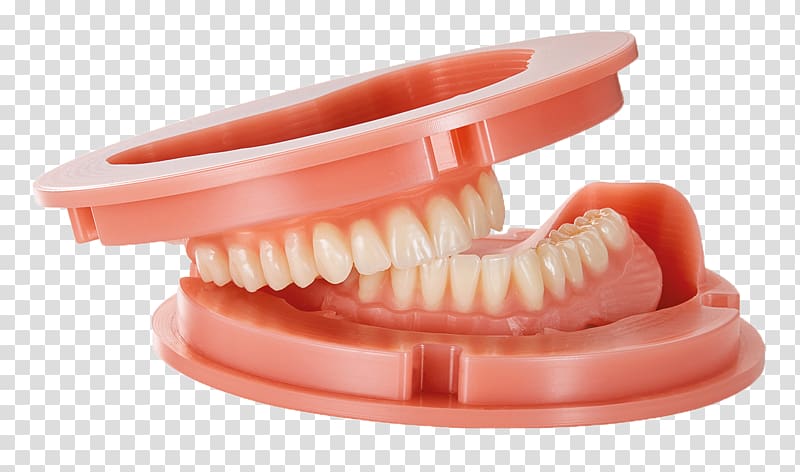 Tooth Dentures Dental laboratory Dentistry, Dental Laboratory transparent background PNG clipart