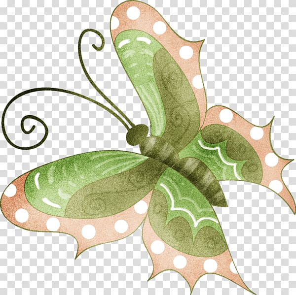 Butterfly , A butterfly transparent background PNG clipart