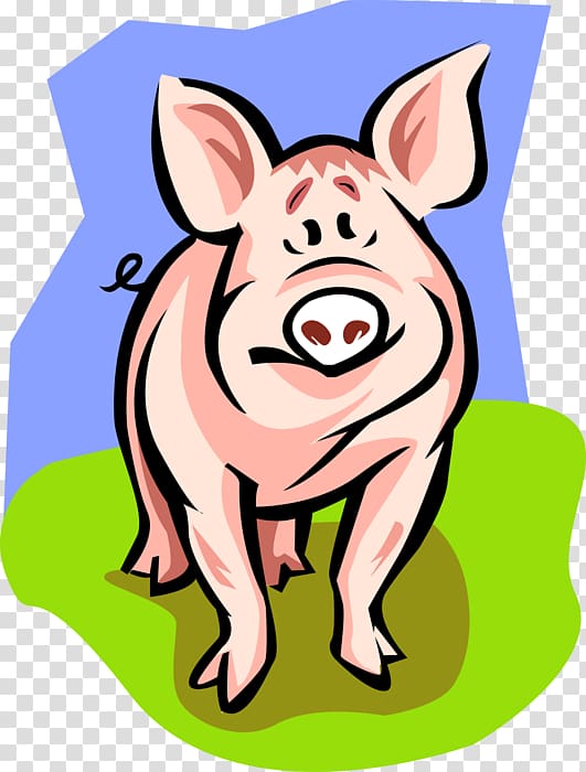 Domestic pig Fetal pig Pig farming Dissection, pig transparent background PNG clipart