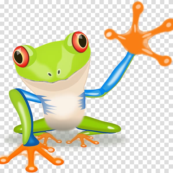 Red-eyed tree frog , frog transparent background PNG clipart