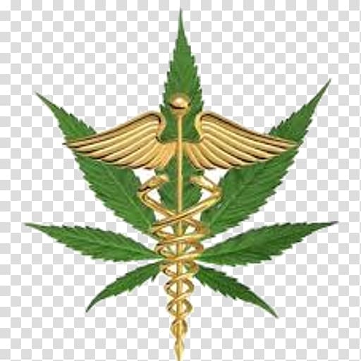 Florida Amendment 2 Medical cannabis Constitutional amendment, cannabis transparent background PNG clipart