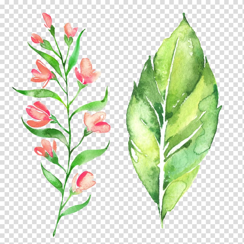 green plant leaf and red flowers illustrations, Drawing Flower, Hand painted watercolor green leaf floral decoration pattern transparent background PNG clipart