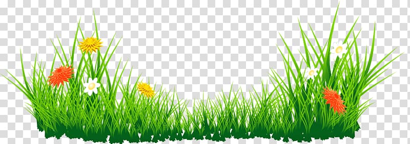 , Flowers with Grass , white, yellow, and red daisies in grass field transparent background PNG clipart