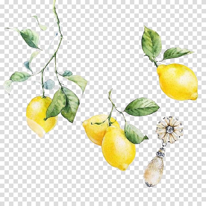 lemonade fruit clip-ar t, Visual arts Lemon Watercolor painting Illustration, FIG watercolor painted lemon material transparent background PNG clipart