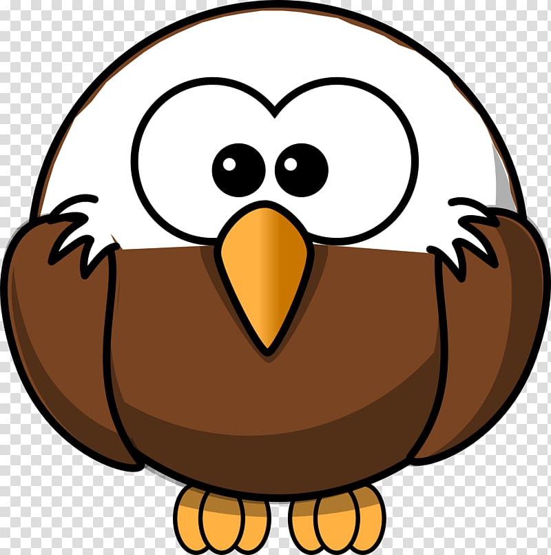 Bald Eagle , bird cartoon transparent background PNG clipart