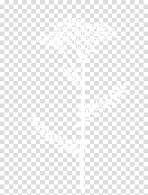Line Angle, achillea millefolium transparent background PNG clipart