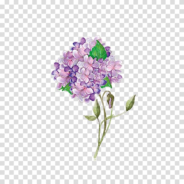 Watercolor painting, Watercolor flowers transparent background PNG clipart