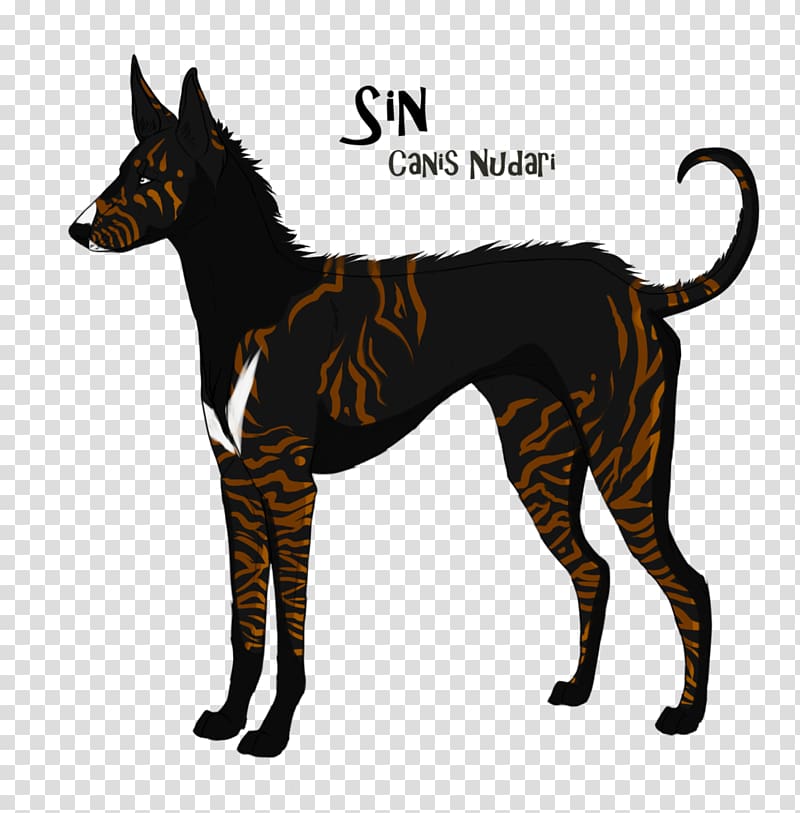 Dog breed Ibizan Hound American Foxhound Julius-K9 IDC Powerharness, seven mortal sins transparent background PNG clipart