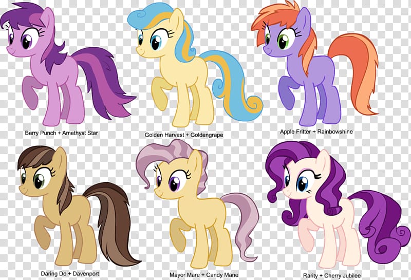 Pony Horse Cat , fritter transparent background PNG clipart