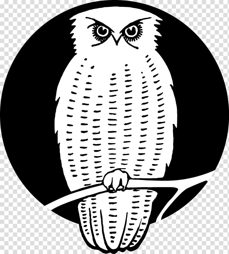 Owl Beak Bird of prey , Owl moon transparent background PNG clipart
