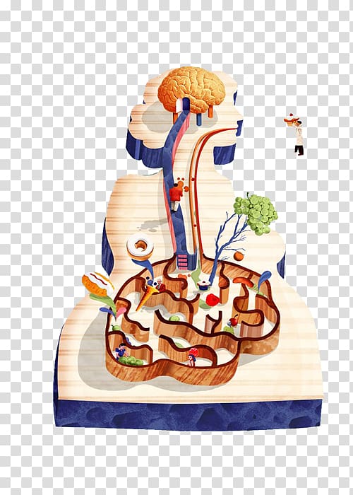 The second brain Enteric nervous system Gastrointestinal tract Gutu2013brain axis, Draw the brain into the gut transparent background PNG clipart