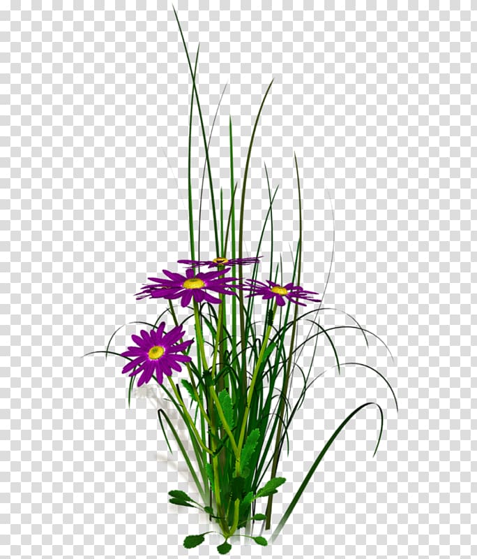 purple wildflowers transparent background PNG clipart
