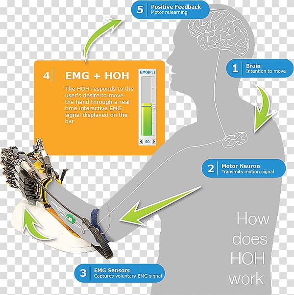 Rehabilitation robotics Electromyography Powered exoskeleton, robot transparent background PNG clipart