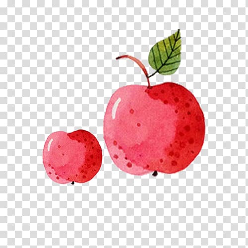 Apple Red , Fresh and simple hand-painted red apples transparent background PNG clipart