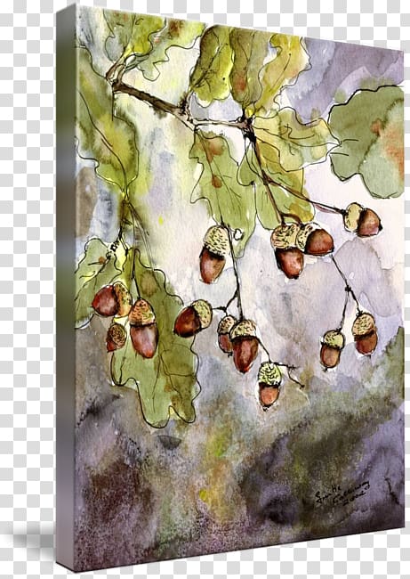 Watercolor painting Acorn Oak Water Lilies, watercolor ink transparent background PNG clipart
