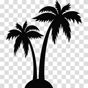 Free download | Silhouette of two coconut trees, Arecaceae Silhouette ...