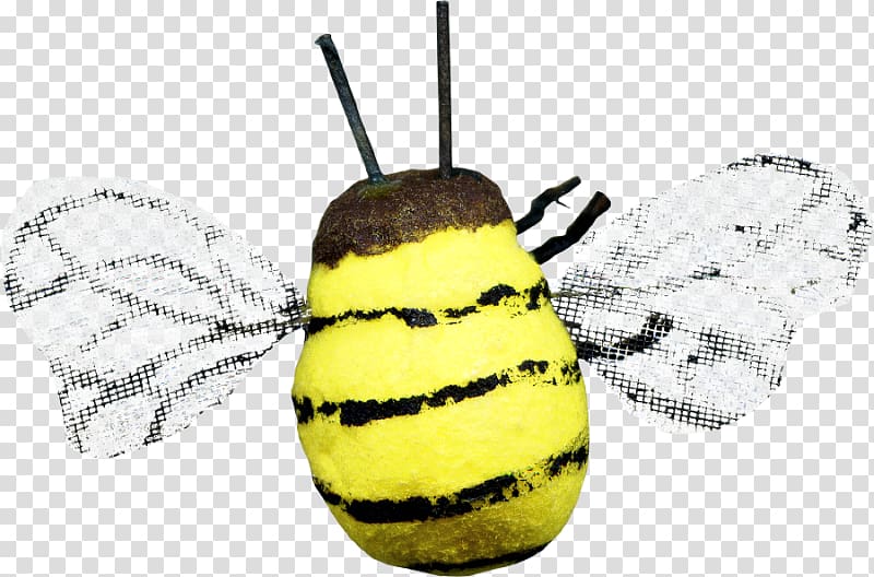 Honey bee Insect , Cartoon bee transparent background PNG clipart