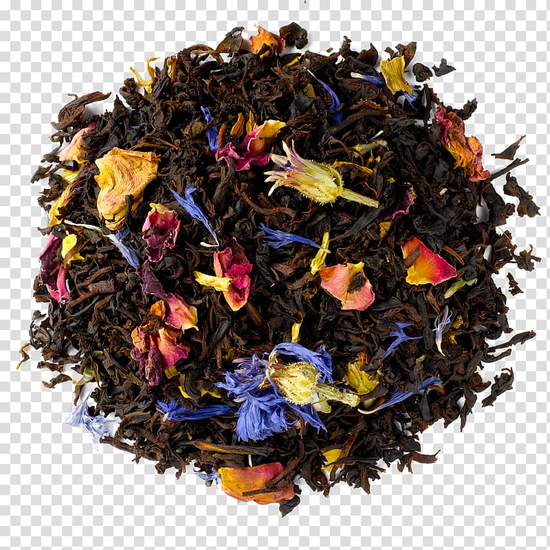 Nilgiri tea Oolong Tea plant Superfood, genmaicha transparent background PNG clipart