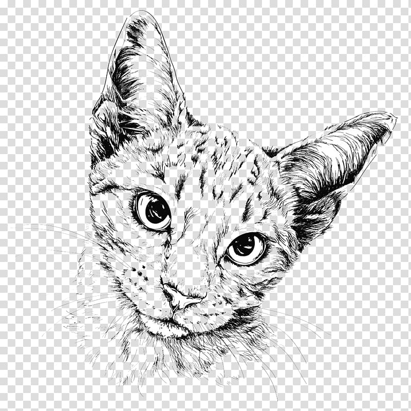 cat illustration, Cat Drawing Painting Illustration, Cute cat transparent background PNG clipart