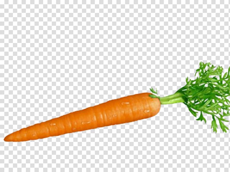 orange carrot, Carrot and stick Root Vegetables Food, carrot transparent background PNG clipart