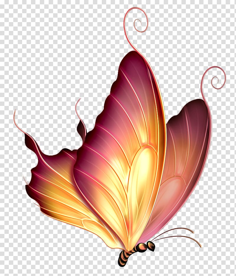Gwalior Varanasi Drawing, Gorgeous butterfly silhouette,Cartoon Butterfly Dream transparent background PNG clipart