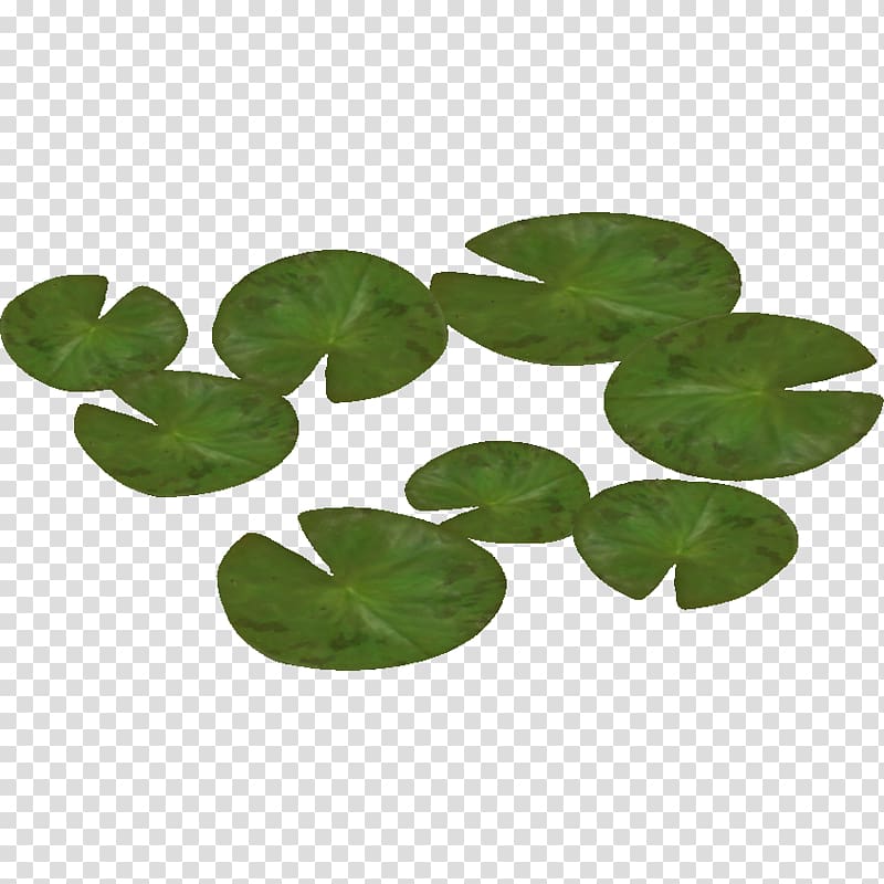 Water lily 2011 Ford Ranger, Water Lily Pic transparent background PNG clipart