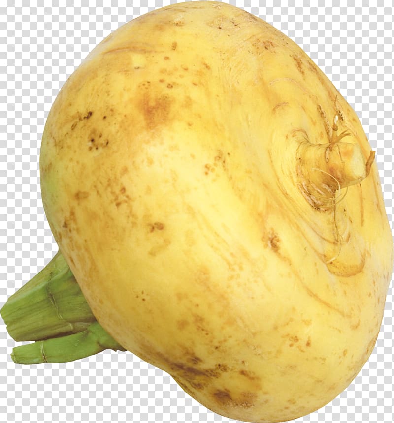 Turnip Root Vegetables Garlic Raphanus, garlic transparent background PNG clipart