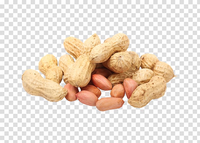 Peanut Food Almond Legume, almond transparent background PNG clipart