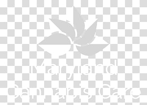 Leaf Logo Brand Desktop , Leaf transparent background PNG clipart thumbnail