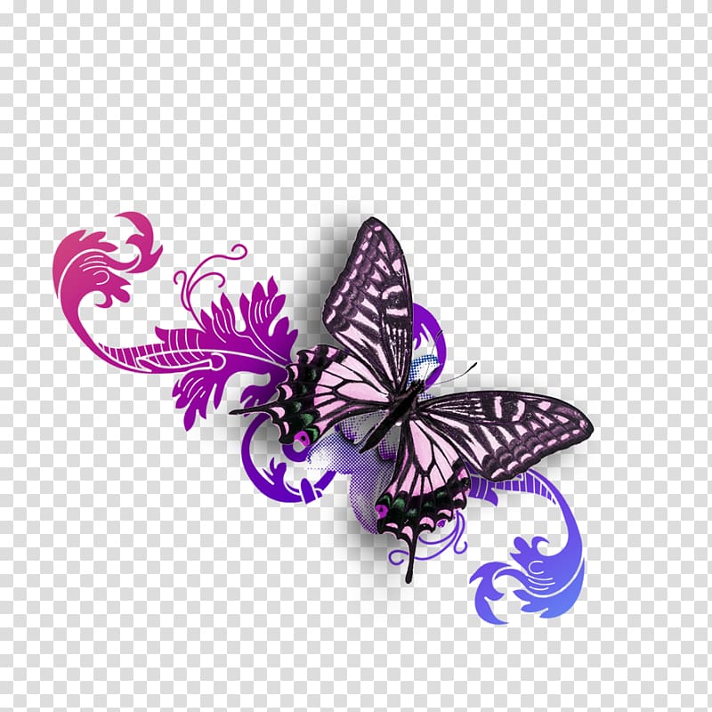 Butterfly Purple, Butterfly material transparent background PNG clipart