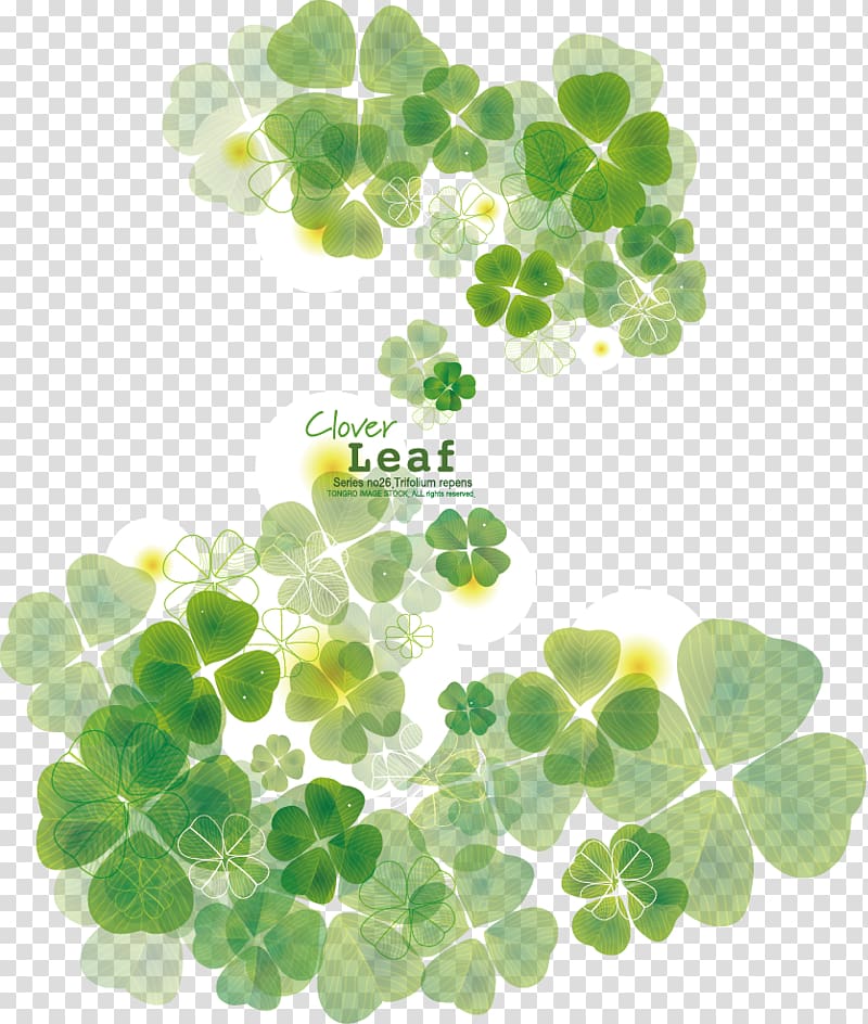 Four-leaf clover, Clover transparent background PNG clipart