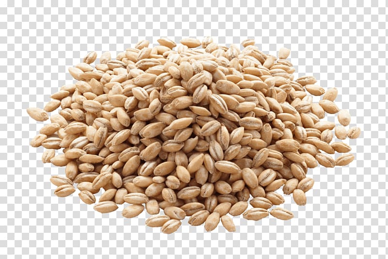 bunch of peanuts, Barley Organic food Cereal Whole grain Rice, Barley transparent background PNG clipart
