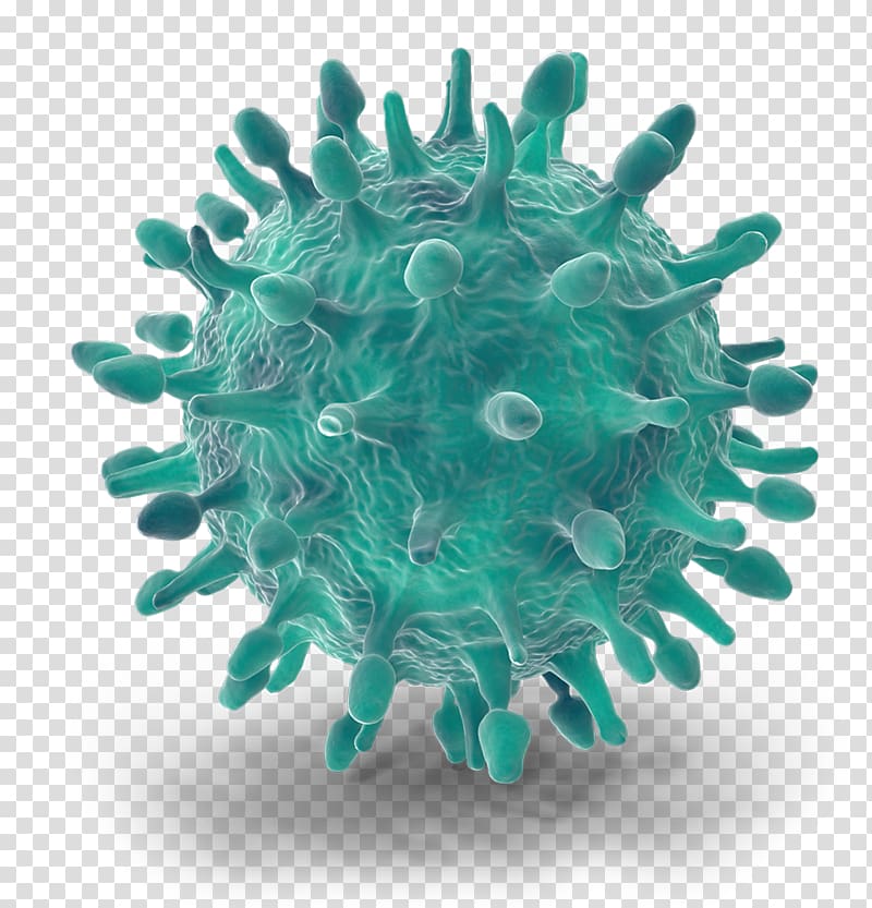 Organism Swine influenza Ultraviolet germicidal irradiation Pathogen Industry, h1n1 virus transparent background PNG clipart
