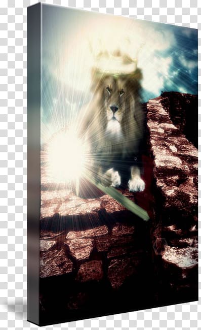 Tribe of Judah Lion of Judah Kingdom of Judah Work of art, Lion of Judah transparent background PNG clipart