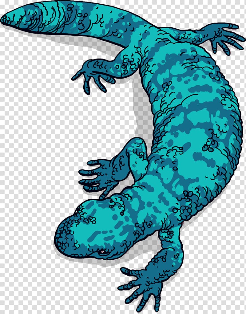 Gila monster Lizard Reptile Exenatide Venom, lizard transparent background PNG clipart