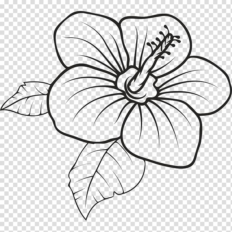 Floral design Hawaii Drawing graphics, flower transparent background PNG clipart