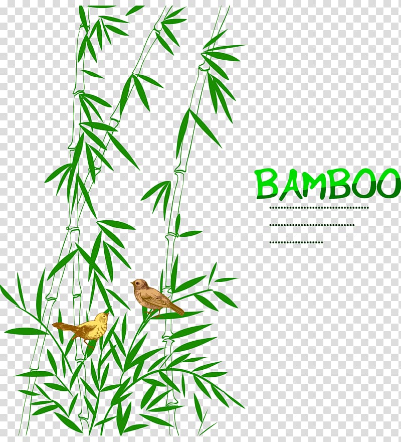 Bamboo Bird Drawing Trees, Bamboo bird decoration transparent background PNG clipart