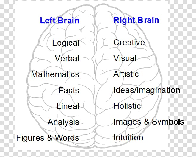 Brain Human behavior Organism Cerebral hemisphere, Left And Right Brain transparent background PNG clipart