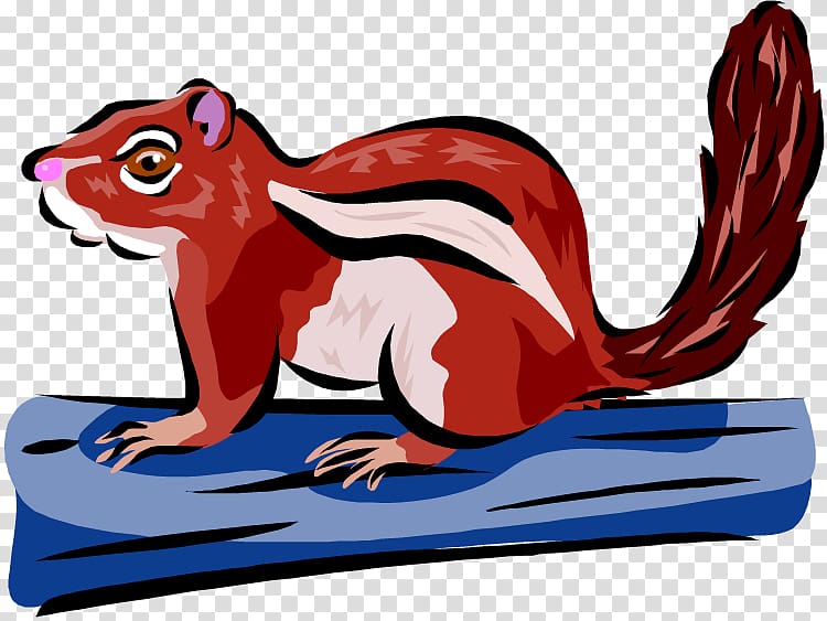 Squirrel Eastern chipmunk Graphics, squirrel transparent background PNG clipart
