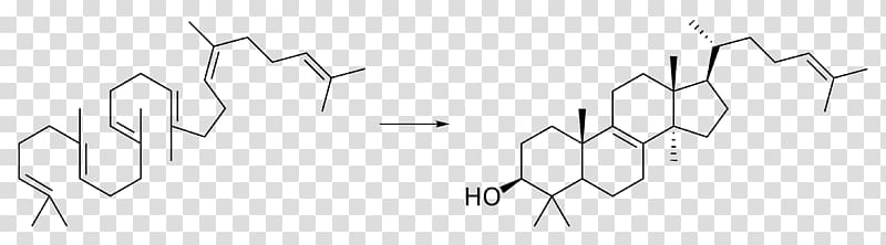 Cytotoxicity Hydrazine Chemistry Natural product Steroid, Lanosterol transparent background PNG clipart