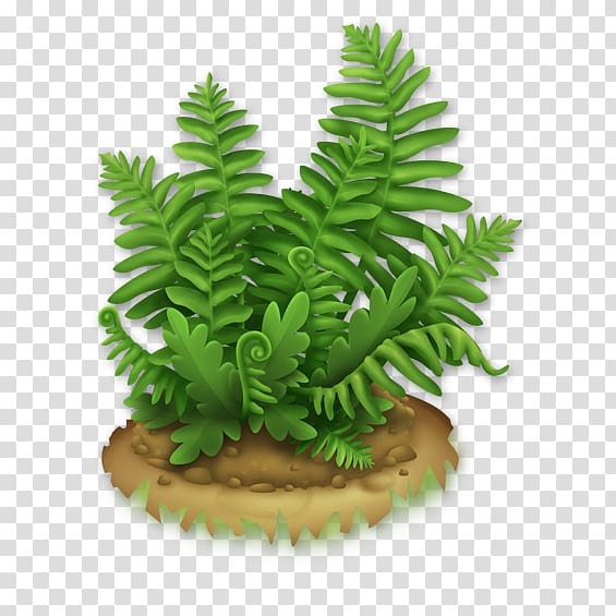 Hay Day Wikia, fern transparent background PNG clipart