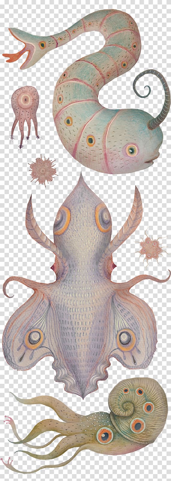 Octopus Squid Cephalopod Narwhal, nature sea animals marine microorganisms transparent background PNG clipart