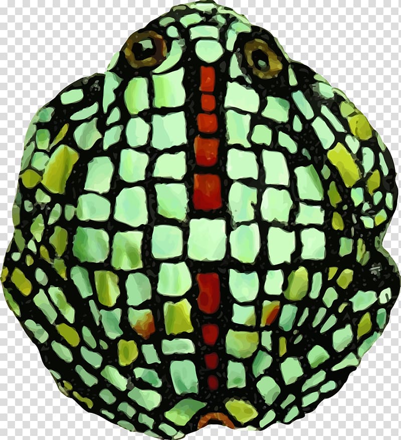 Biological illustration , frog transparent background PNG clipart