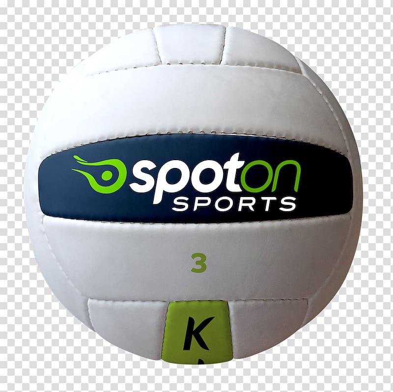 Medicine Balls Volleyball Gaelic football, Coach Kicking Soccer Ball transparent background PNG clipart