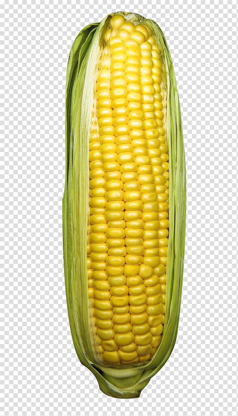 Corn on the cob Corn kernel Sweet corn Commodity Fruit, corn transparent background PNG clipart