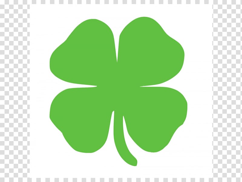 St. Patrick's Cathedral Saint Patrick's Day Shamrock Ireland Four-leaf clover, saint patrick's day transparent background PNG clipart